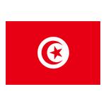 突尼斯U23 突尼斯U23